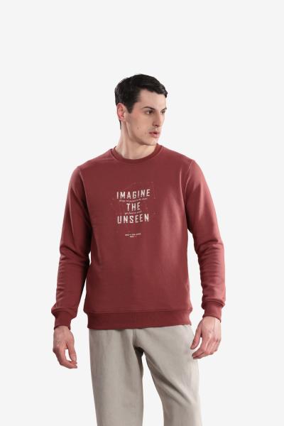 Men's Printed Round Neck Sweatshirt