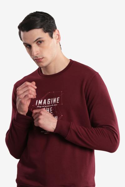 Men's Printed Round Neck Sweatshirt
